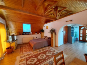Attila-Apartman Budaörs